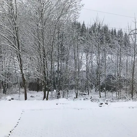 Lejlighed Ferienwohnung Alte Schule Schonach im Schwarzwald